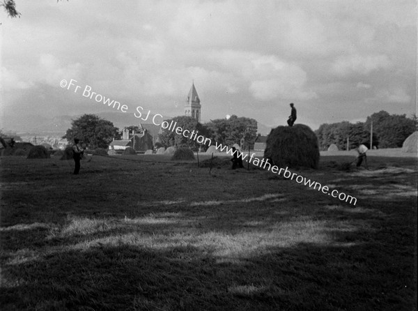 HAYMAKING NEAR CATHEDRAL